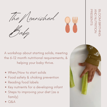 Load image into Gallery viewer, The Nourished Baby Workshop
